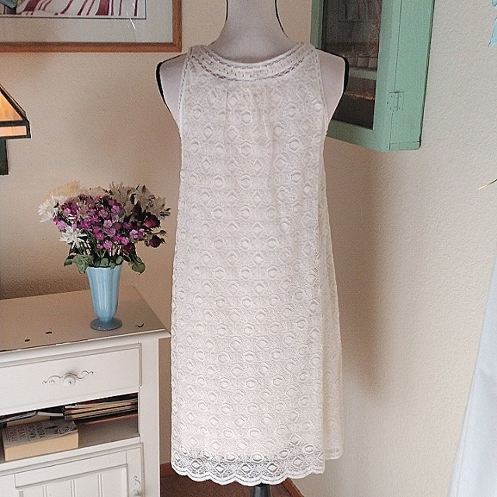 NWT Max Studio Lace Shift Dress - Picture 7 of 13